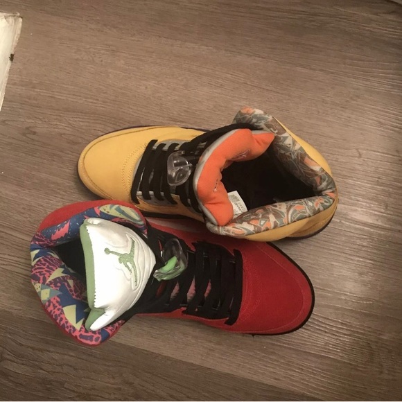 Air Jordan 5 Retro SE